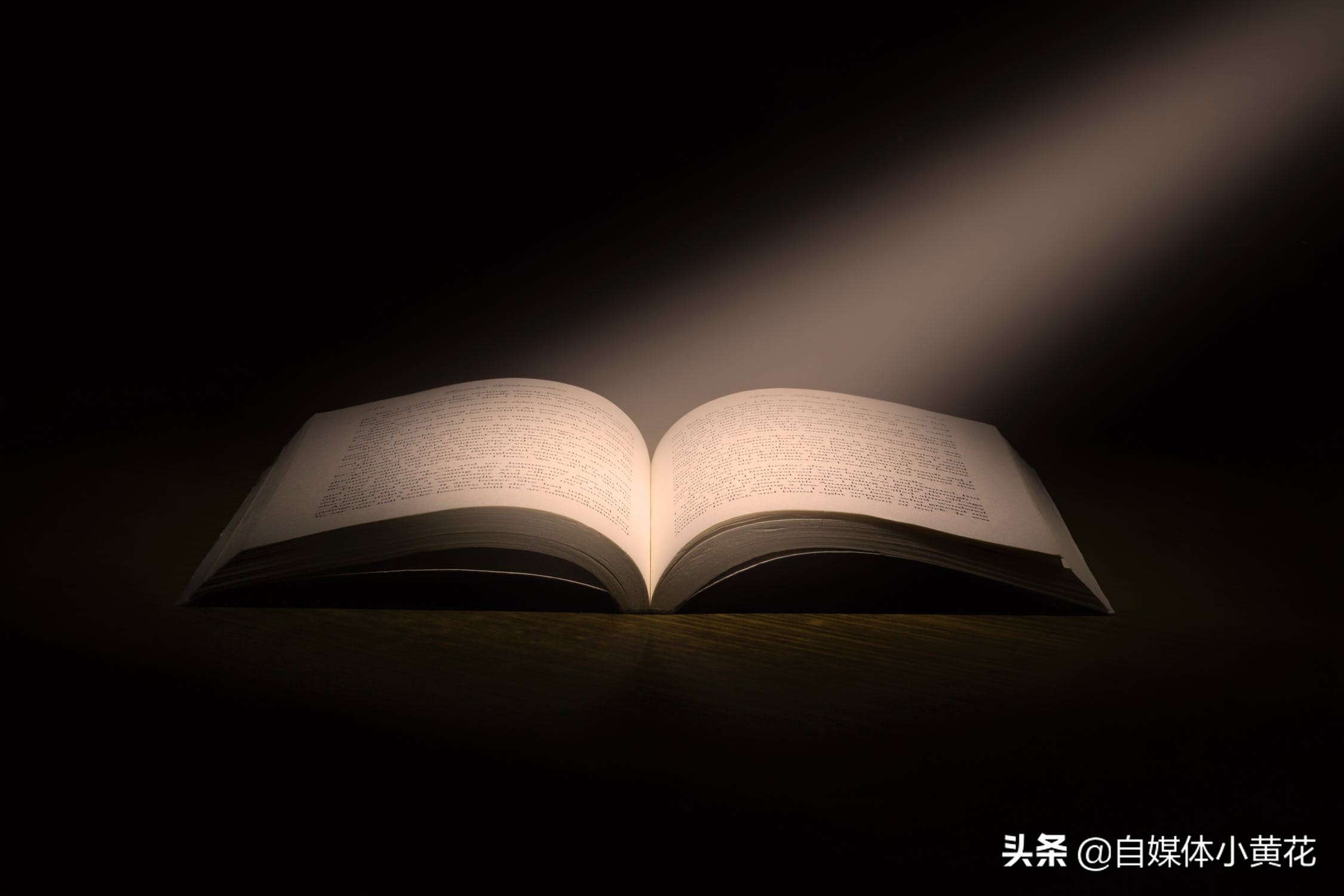 自媒体运营工作是什么？做短视频运营需要注意什么？