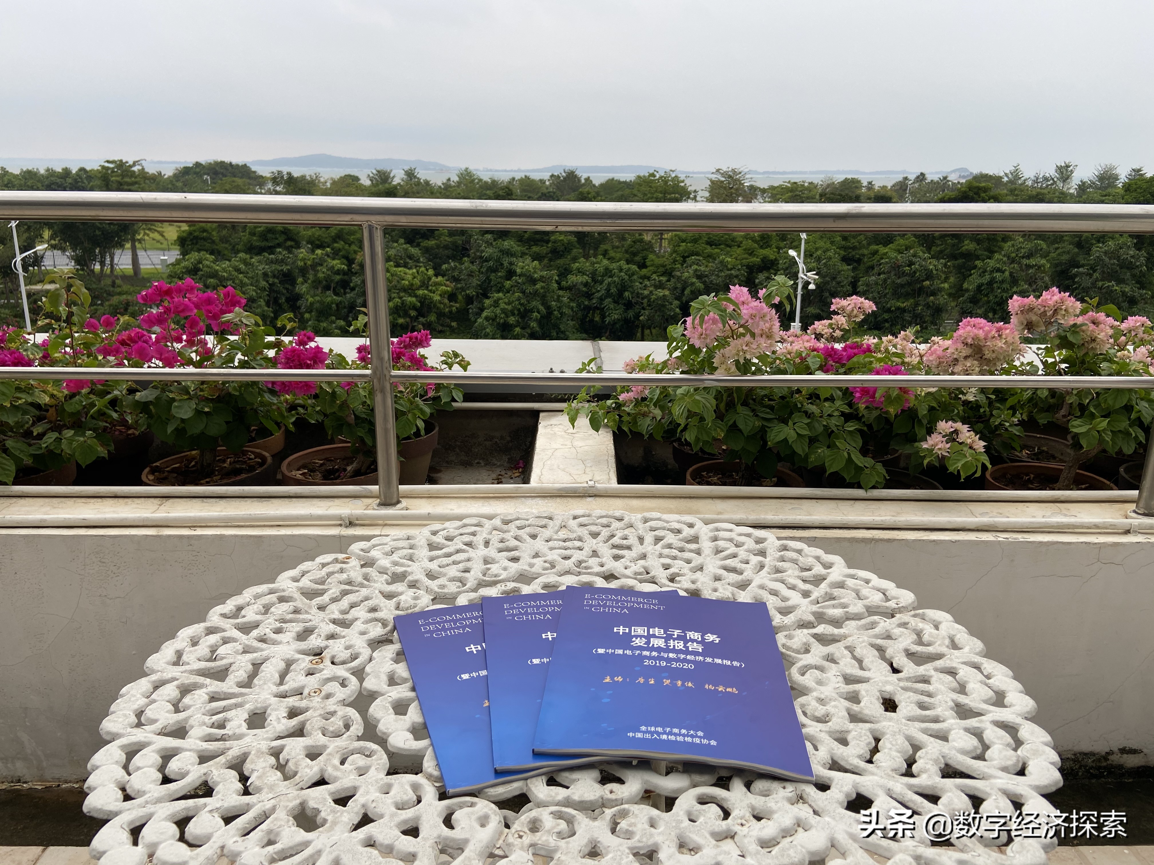 �й���������չ����(2019-2020)������������ģʽ