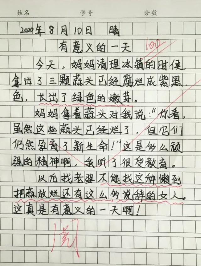 小學生撿垃圾作文,小學生能有什麼壞心思呢,奇葩腦洞太搞笑了