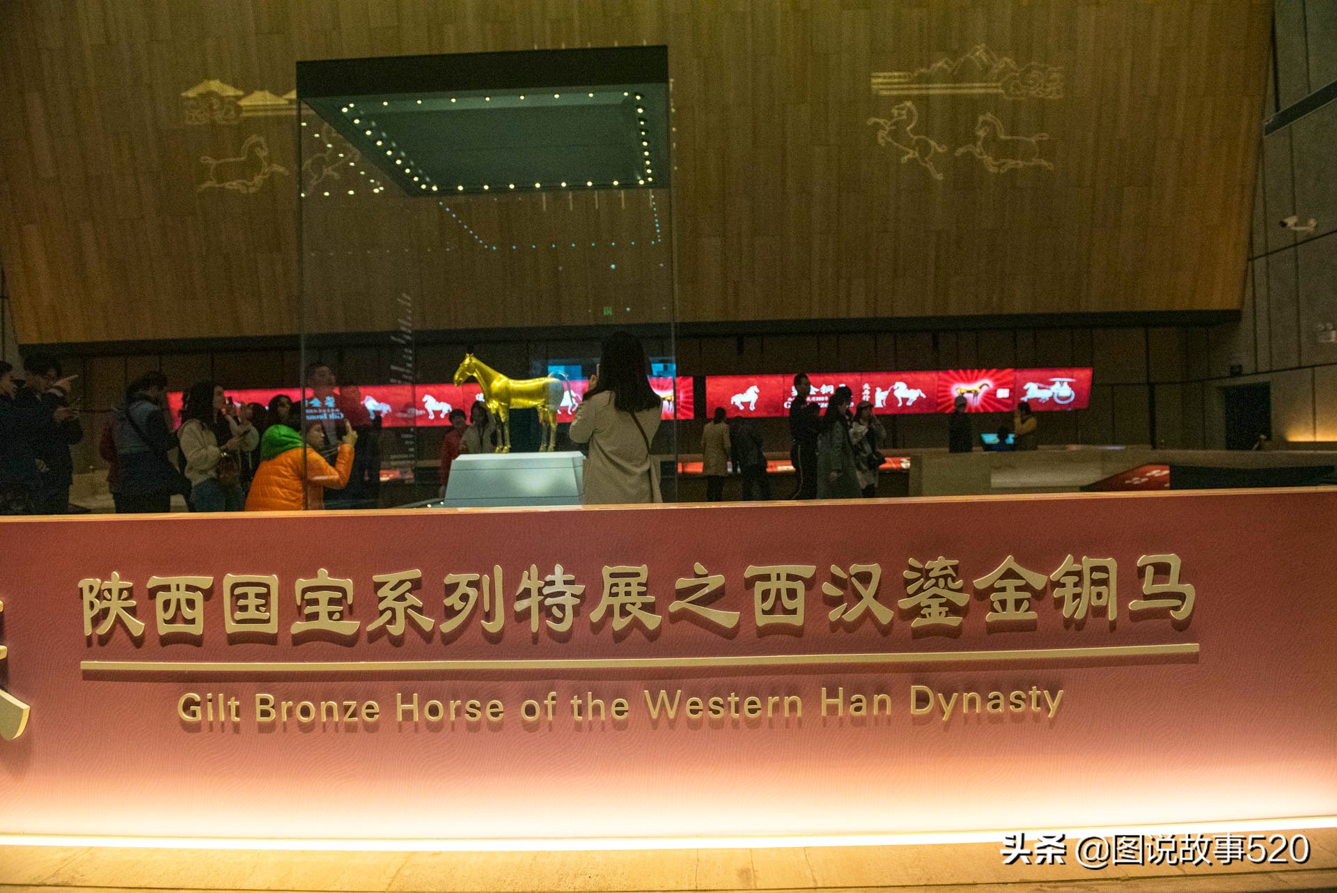 汗血寶馬多少錢一匹,純種汗血寶馬多少錢一匹