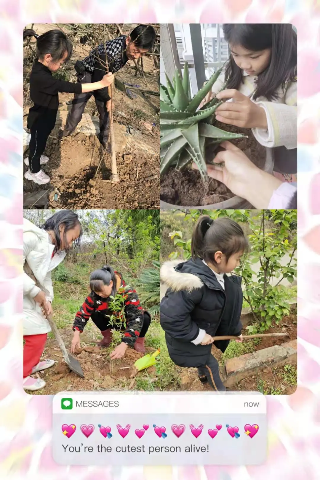 创绿色环保 享美好家园丨天府新区新兴小学植树节环保教育活动