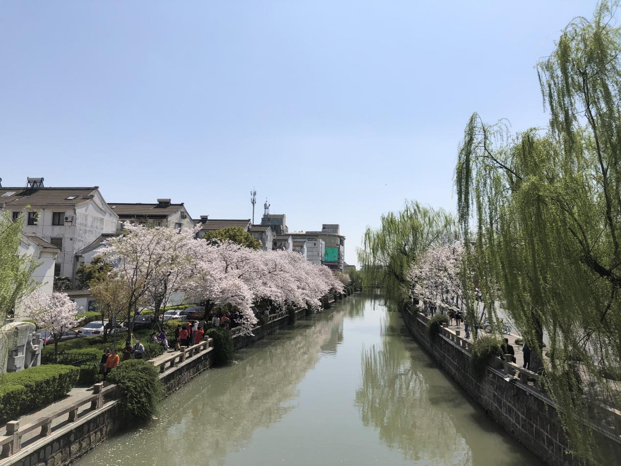 活动回顾｜春来常熟，花开虞城，这个春天一定要来赏花呀