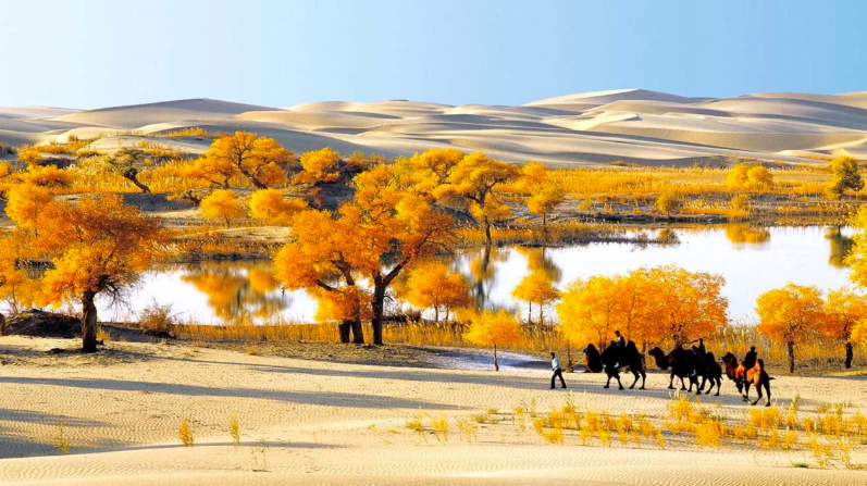 新疆旅游，北疆大环线与南疆大环线，哪个更好？另一条环线更美