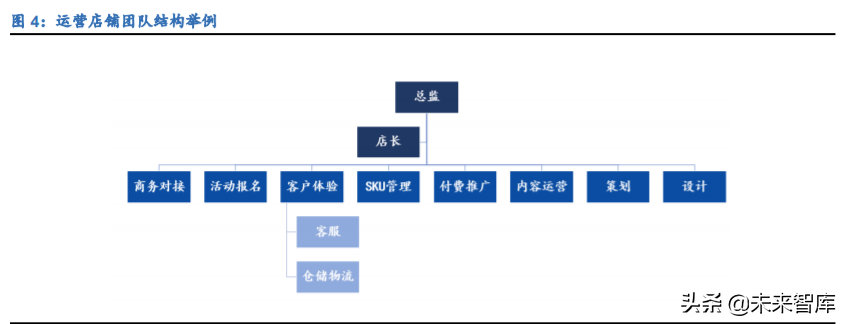 电商代运营行业深度报告：行业资本化加速，线上渠道红利凸显