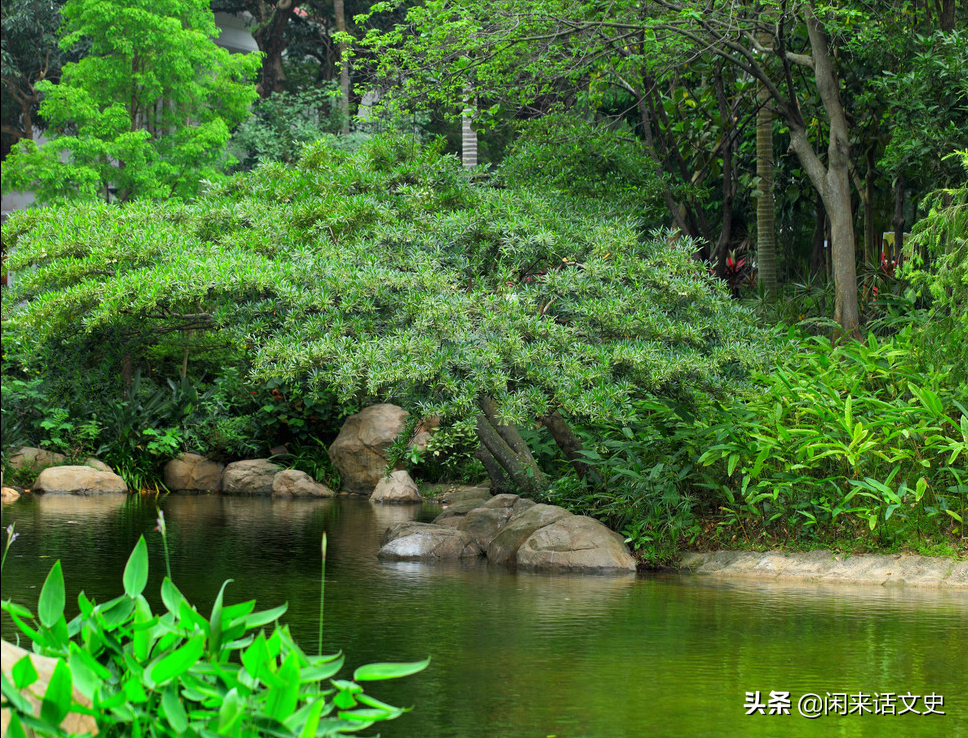 经典的六言诗，给你惊艳绝伦，美不胜收的田园春色-第2张图片-非凡网