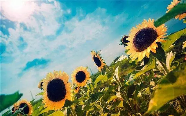 每日正能量——在时光深处，学会静静释怀