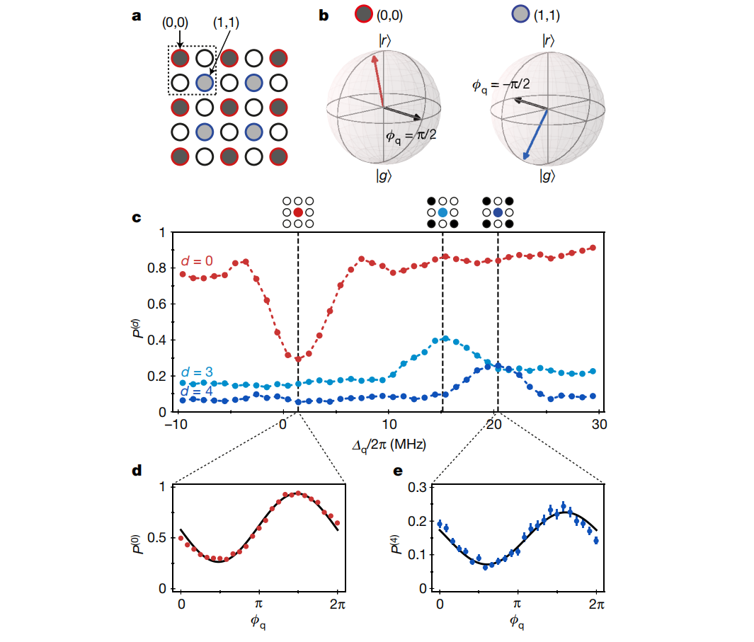 哈佛联合MIT实现256个量子比特模拟器，或标志进入量子世界新领域