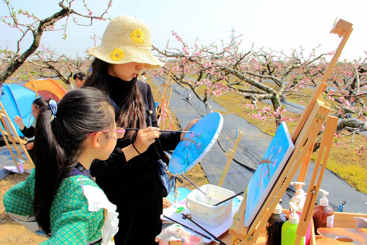 艺培教务管理系统功能模块有哪些？