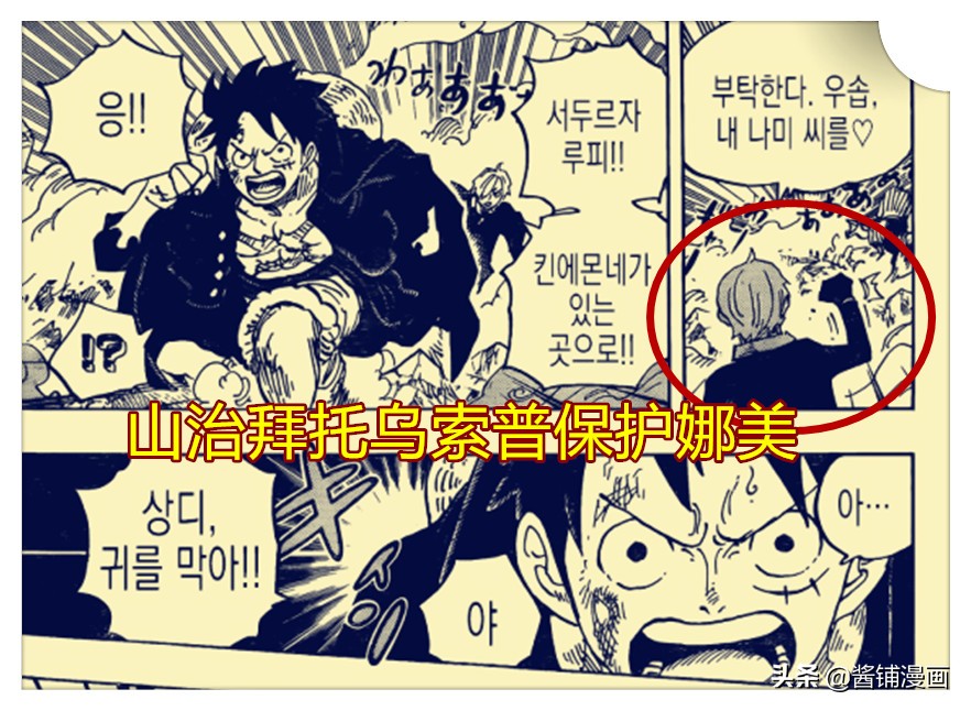 海贼王991话：山治看到乌尔缇就脸红，乌尔缇对战人选换乌索普