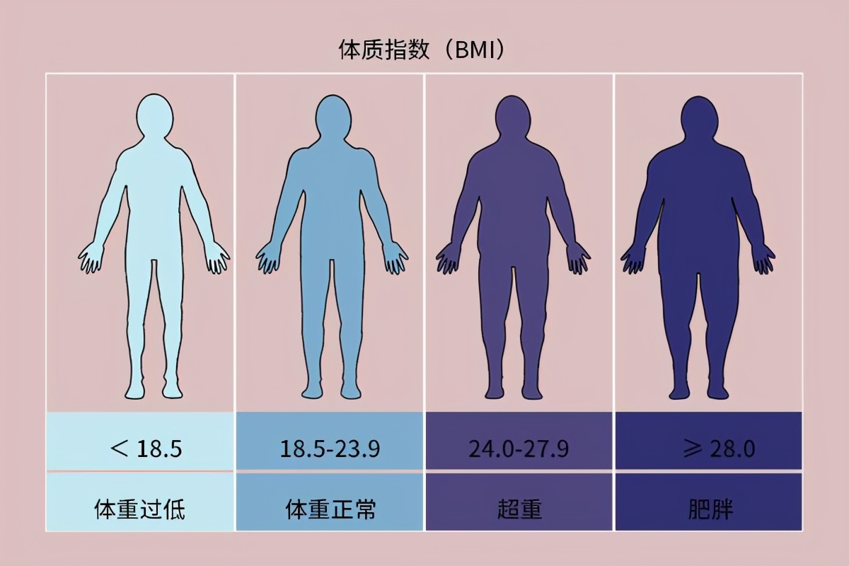 易长肉的主食公布，米饭不在列，想减肥的人，尽量少吃或不吃