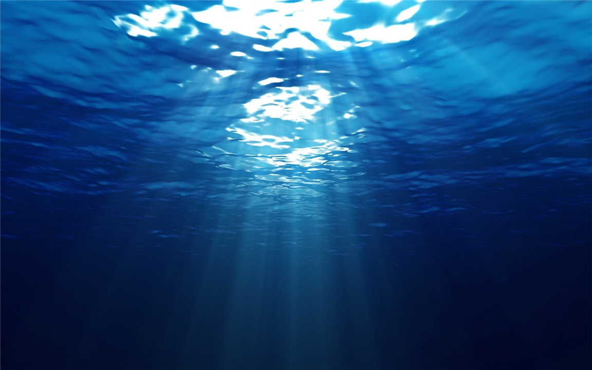深海100000米以下生物，海底10000米是什么概念？图片