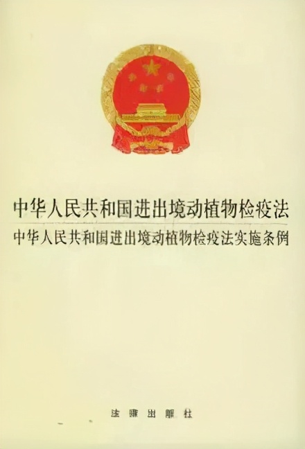 春耕种苗进口通关问题