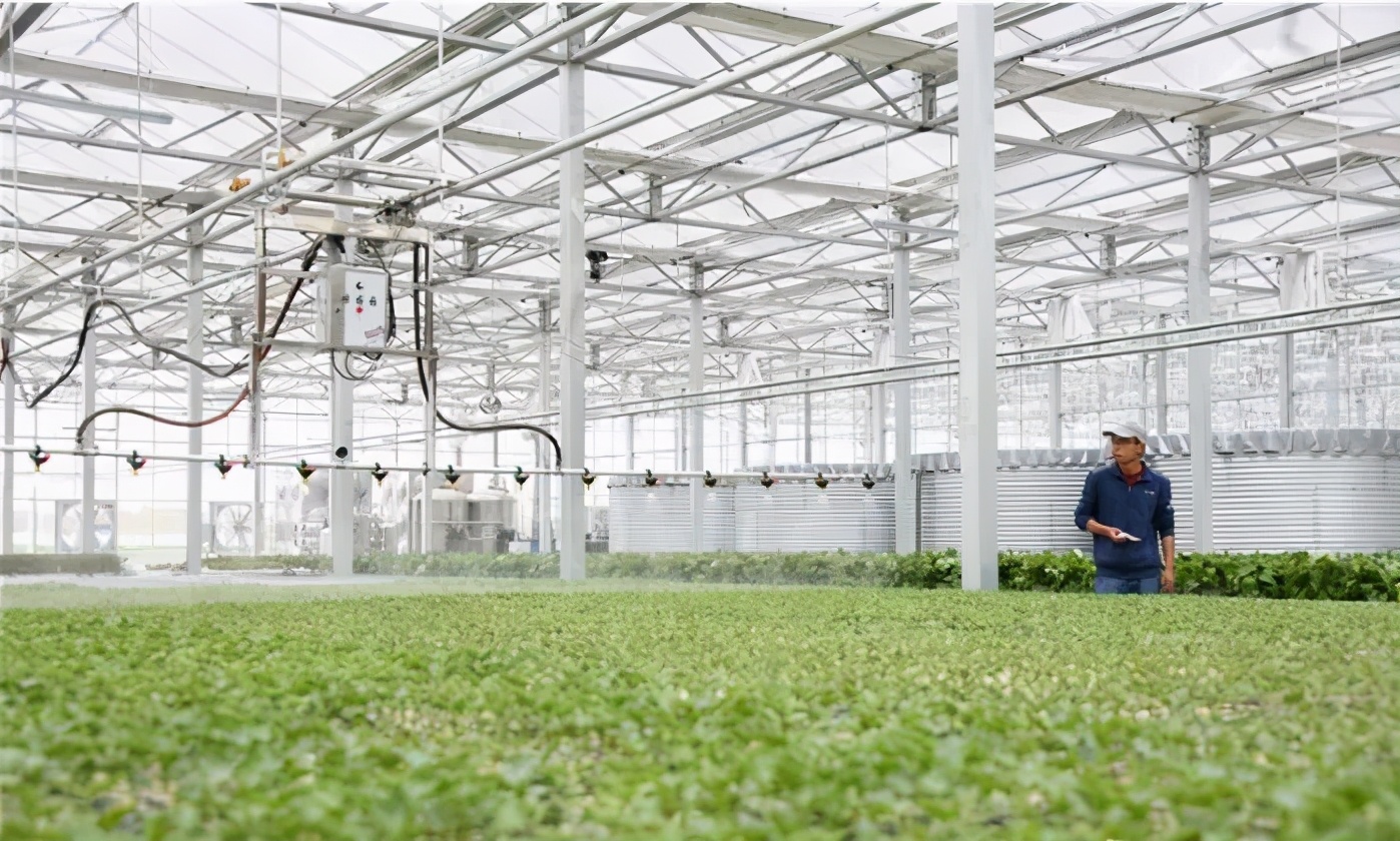 数字经济规模接近1.3万亿？“十四五”加速构筑农业农村现代化