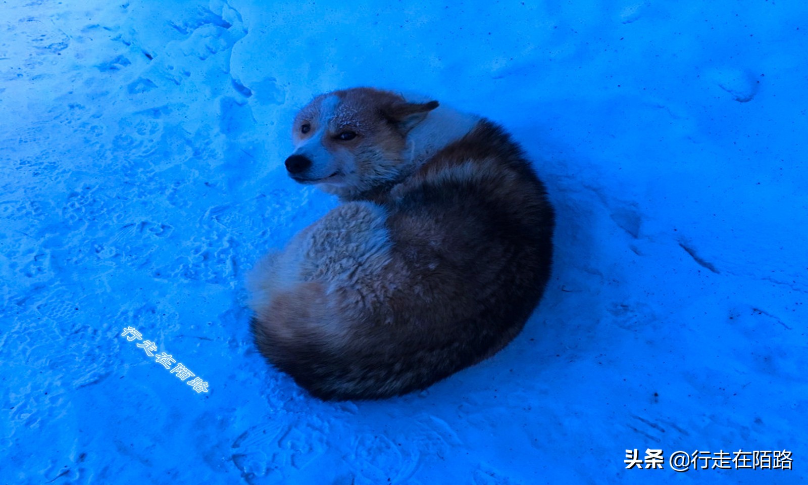 -67℃的奥伊米亚康：挖个坟要5天，生老病死都得看天气