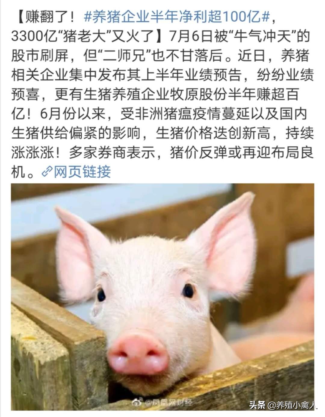 羡慕嫉妒恨，养猪企业半年净利润高达100亿元，
