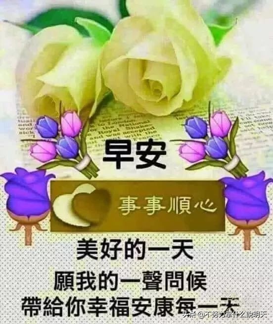 暖心问候祝福早上好动图早上好祝福语表情包大全 美文 蛋蛋赞