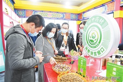江西樟树：全力振兴中医药发展