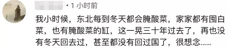 李子柒被韩国网友围攻，中国博主联手回击，发布酸菜视频标题显眼