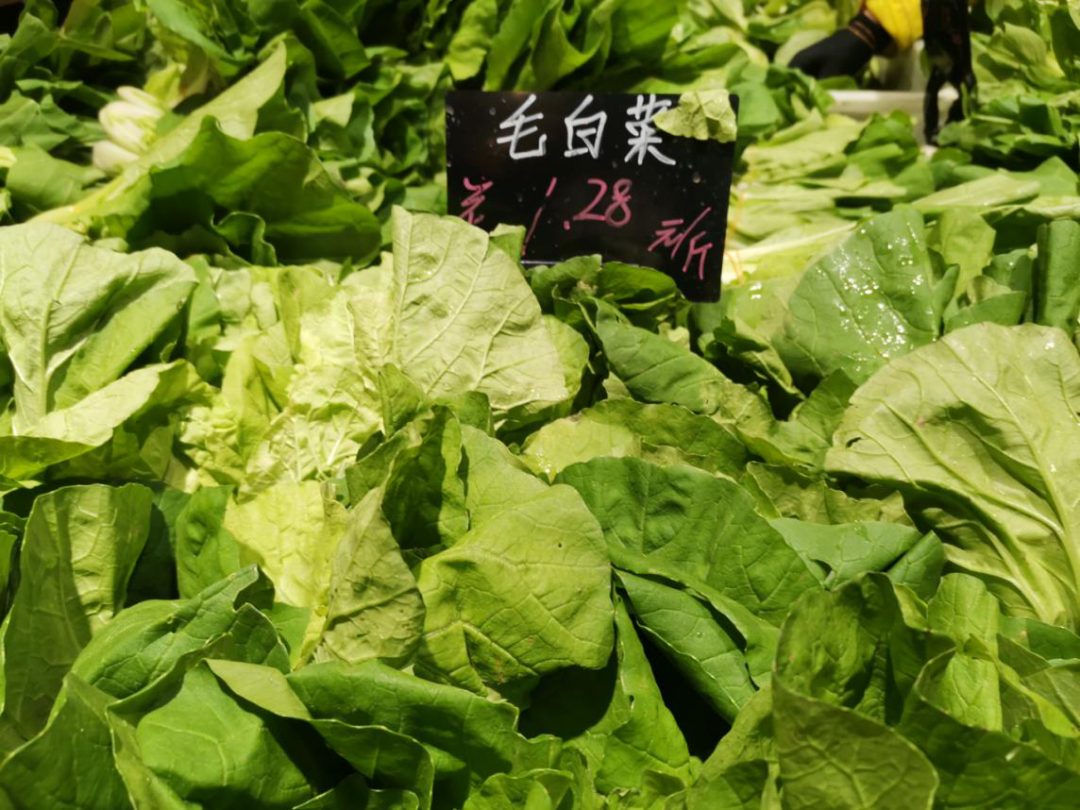 1300ƽ�վ�����20���򣡰�����������������ߵĵ���֮·