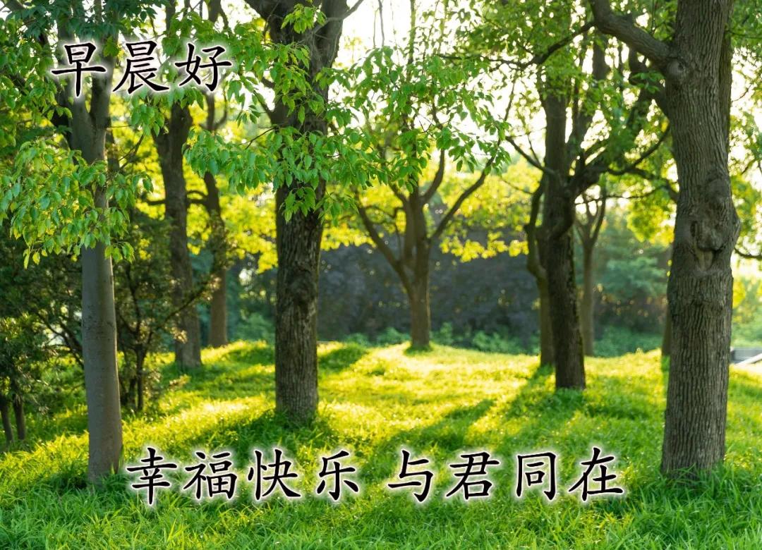 最新的祝福图片带字，最真诚的早上好美图片图片