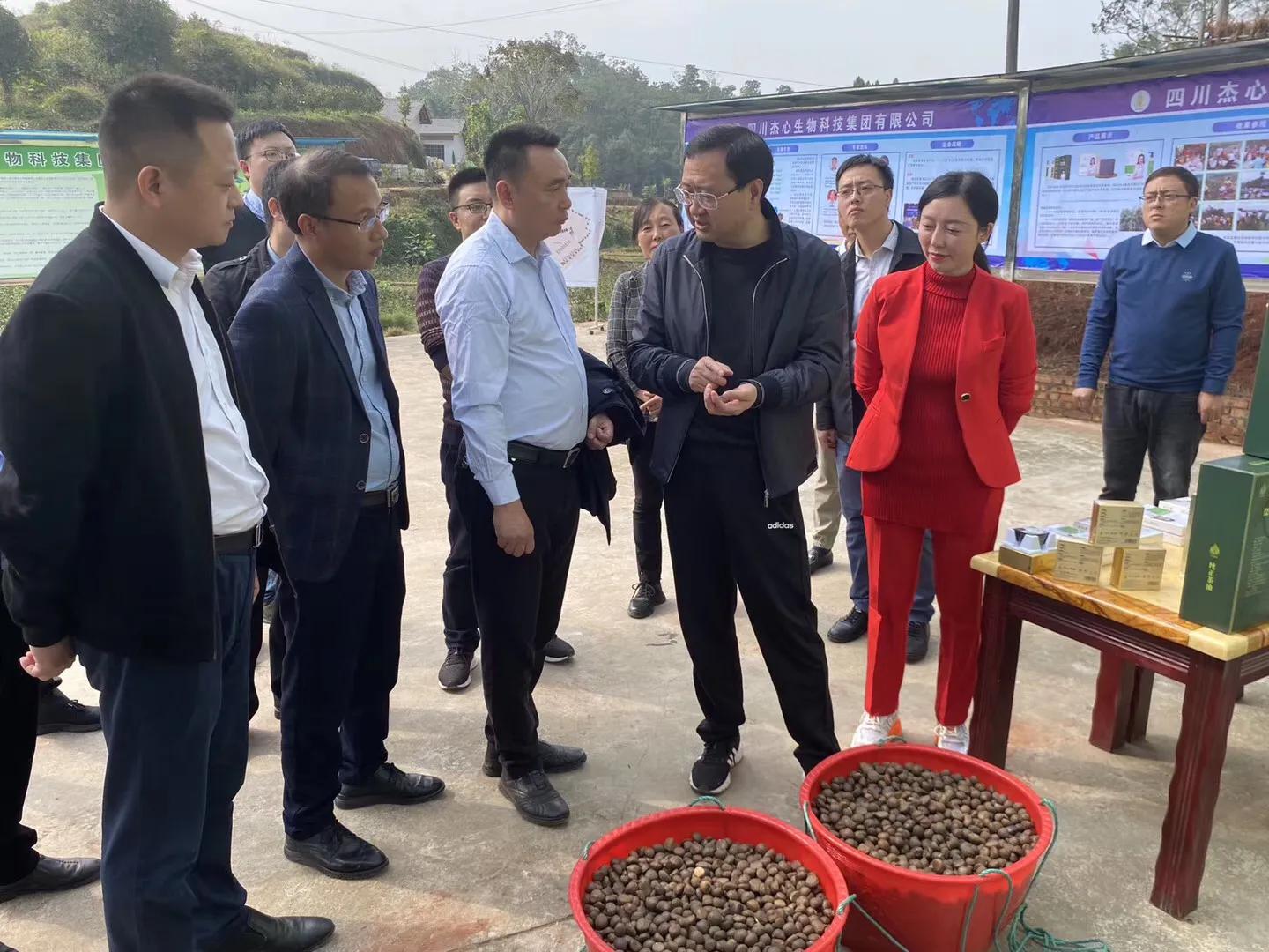 犍为县县委书记谭春秋带队调研指导杰心油茶产业发展