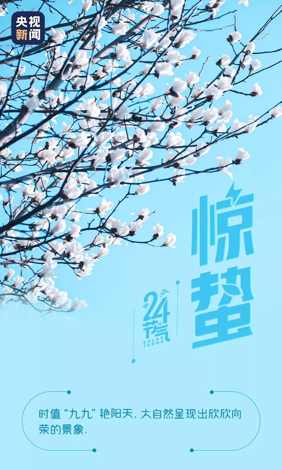 ⷨԷվ