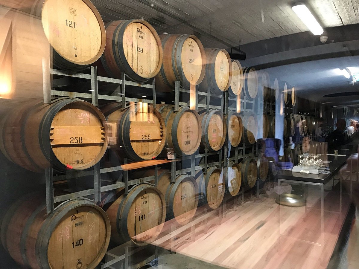 云游世界酒庄之艺术与酒完美结合的塔拉瓦拉酒庄