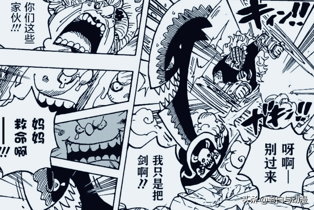 海贼王1009话：谁的表现最突出？索隆排第一，路飞这回垫底