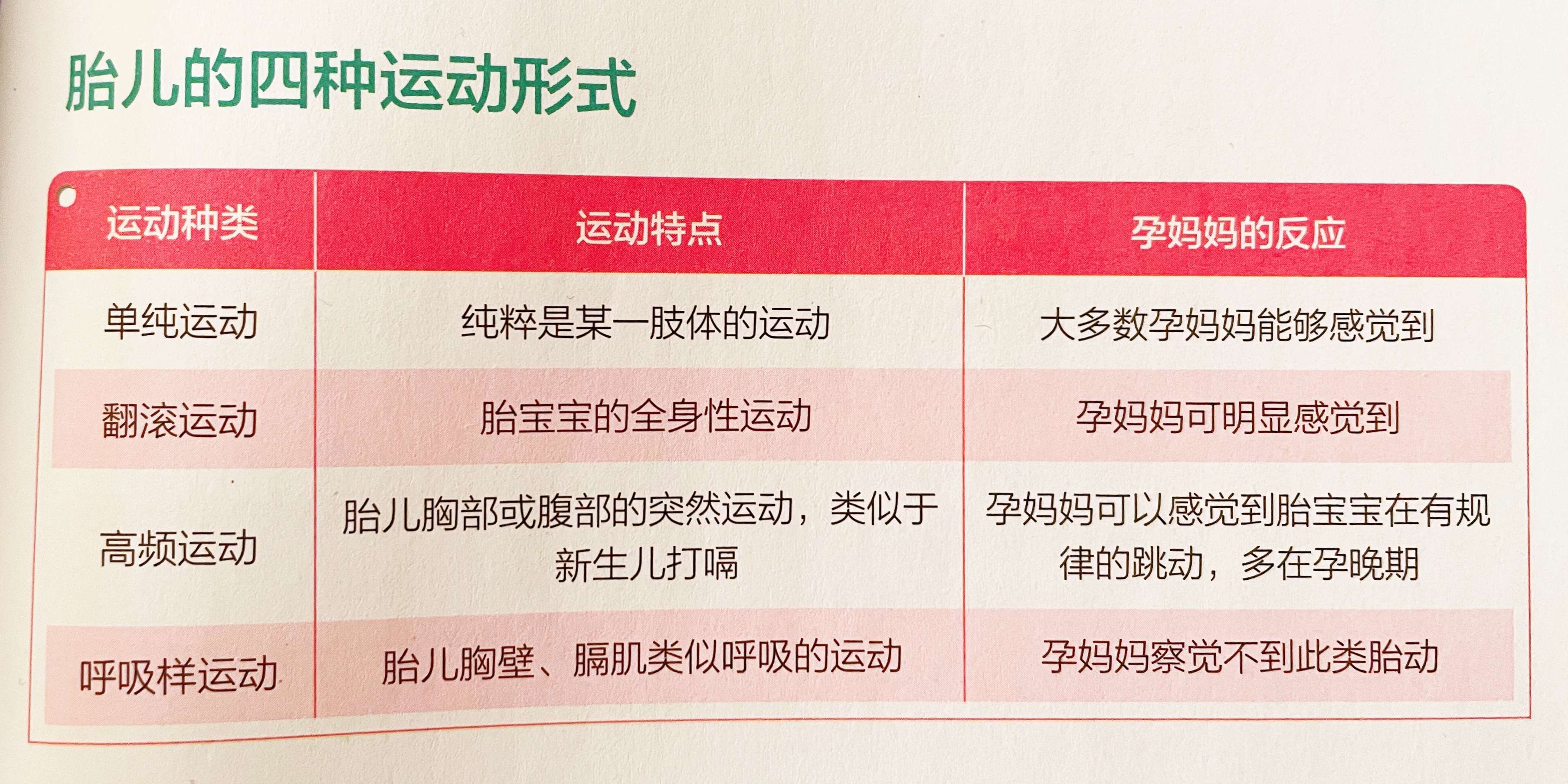 一般胎兒什麼時候胎動活躍 6張動圖吿訴你 胎動時胎兒在幹啥 京媽説 Mdeditor