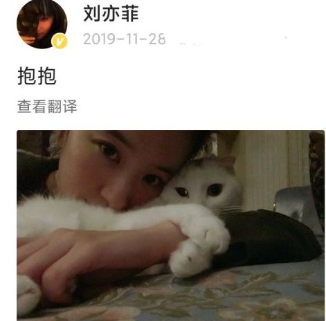 There are no waves without wind! After Hu Ge follows Liu Yifei both sides to refute a rumor, the netizen is basked in however piece " suspicion " graph