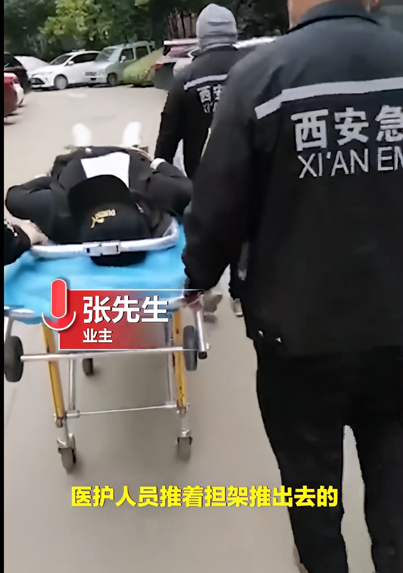 西安男子质疑物业费不合理，要合同被按地踹头