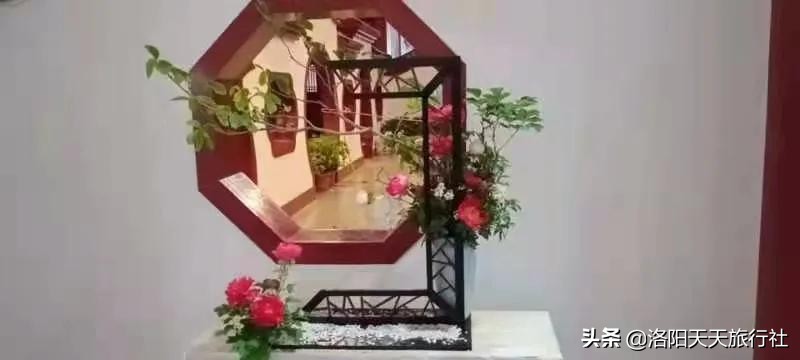 五一旅游来洛阳想看牡丹的，可以来这里「神州四季牡丹园展馆」
