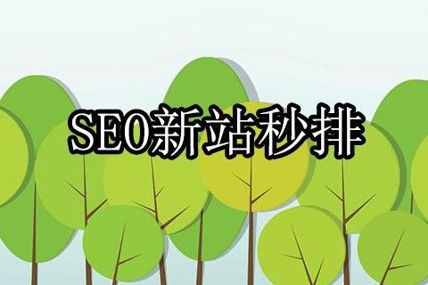 站内优化方案有哪些，六个让新站快速排名的站内优化方案给你分享？