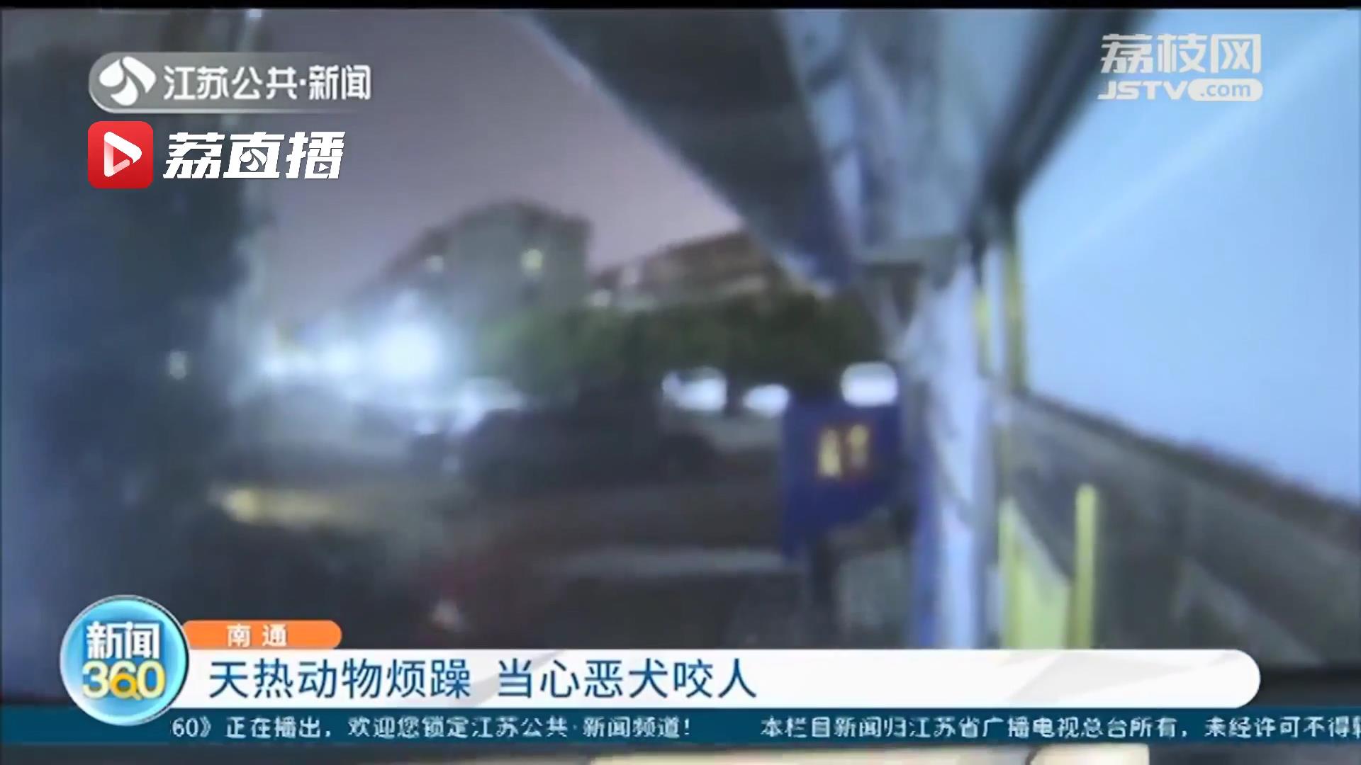 天热当心动物烦躁！南通一恶犬接连咬伤20多人 有人被咬伤肚子