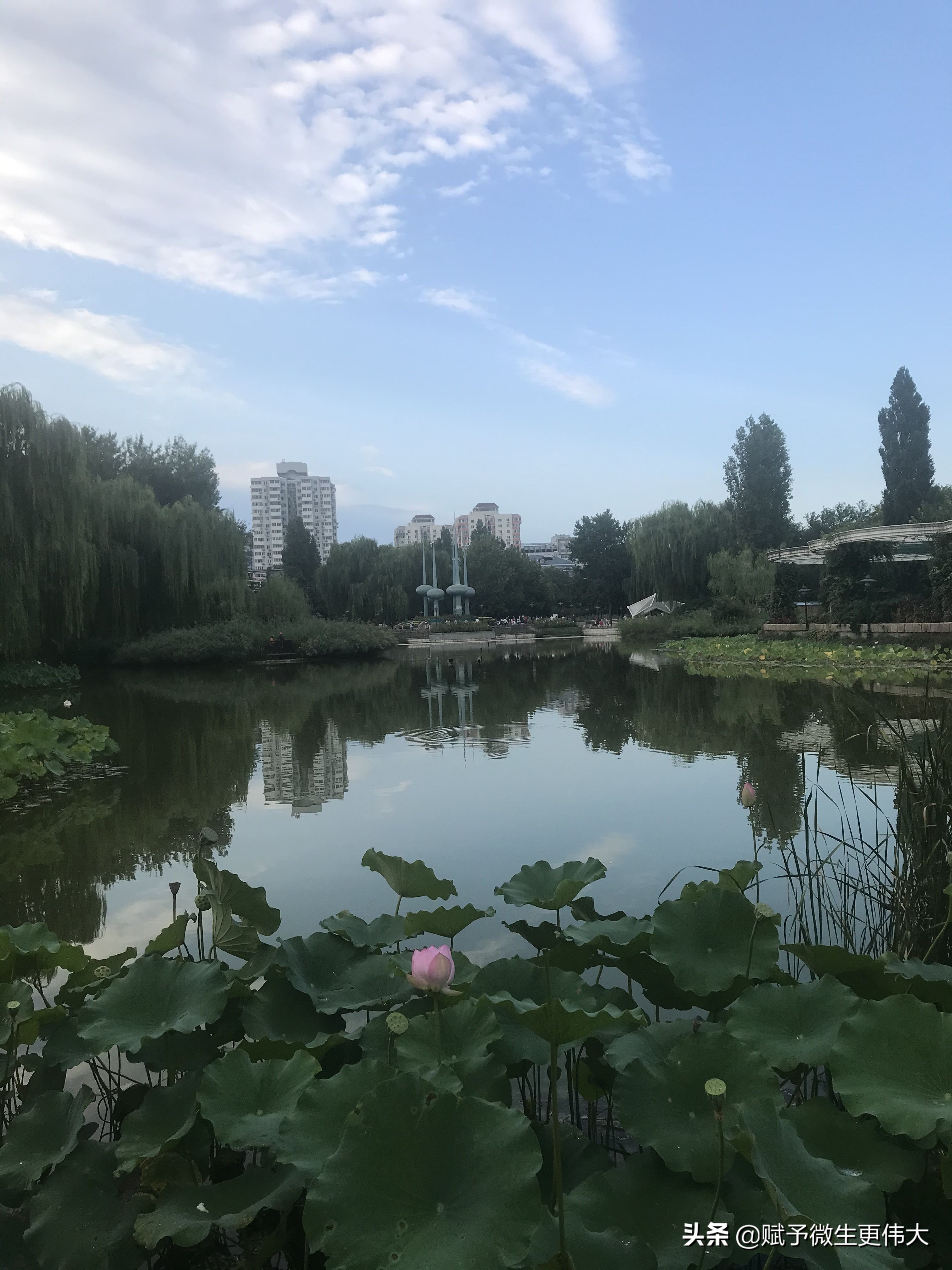 嘘长衣——一应潇雨涨八秋