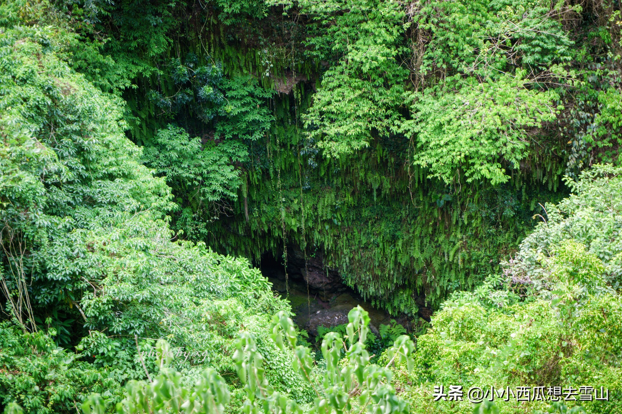 世界上保存最完整的火山群，拥有40多座火山，竟然藏在海南海口