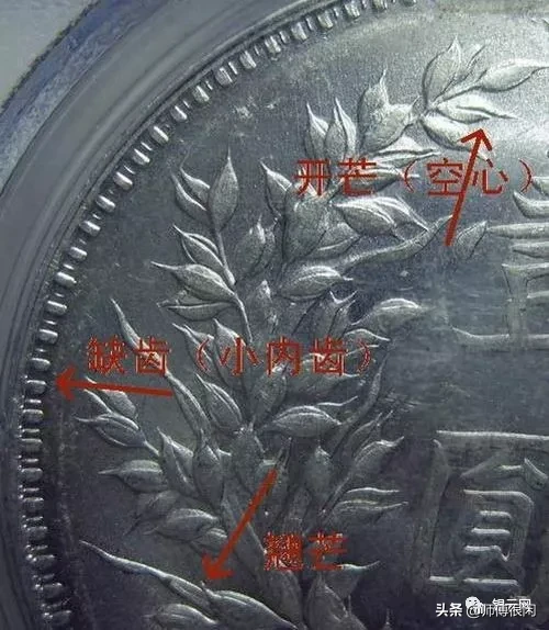 三年小嘉禾版又称三年九背