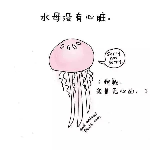 30個(ge) 有趣的科普小星空体育官网入口网站，你知道幾個(ge) ?