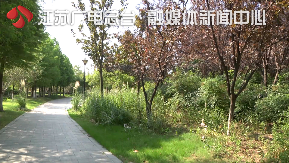 凉意渐起，江苏本周告别高温！今年首个超强台风“美莎克”北上带来风雨