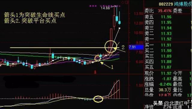 “周线选股”才是股市唯一生存法则
