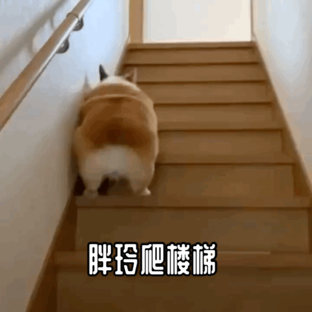 电梯吃人事件频发，被困电梯怎么办？关键时刻，记住这些能救命