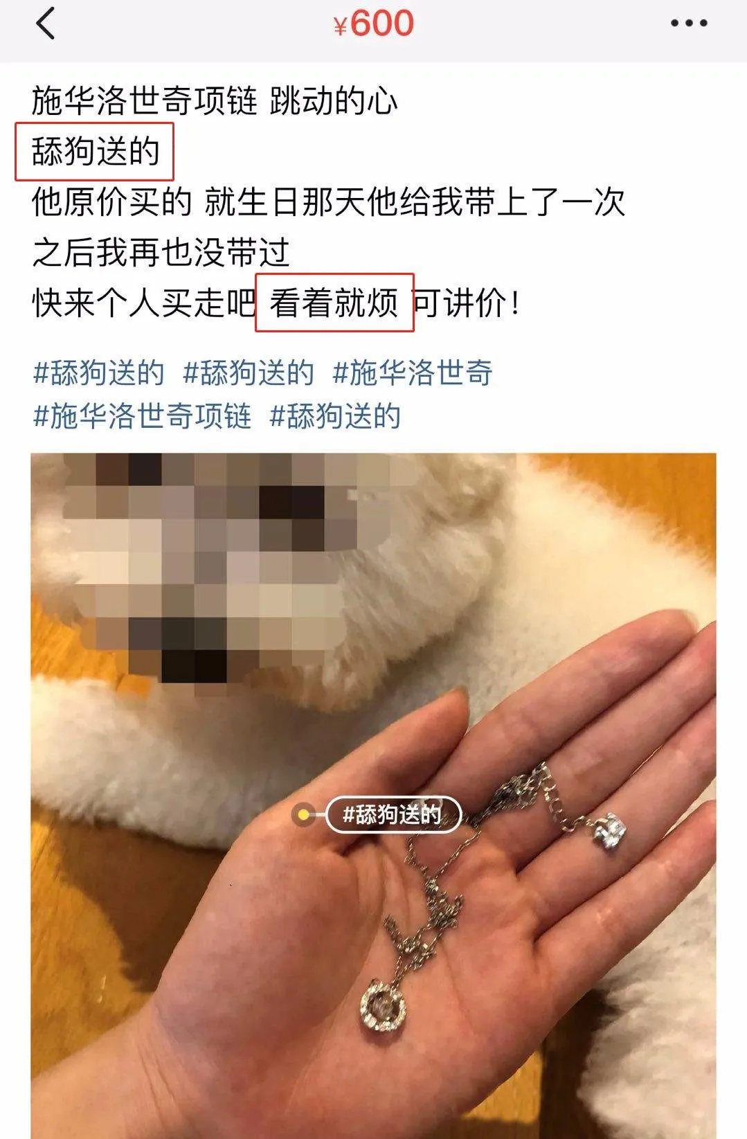 没球踢的中国足球仍新梗不断：涂改车牌被开除、中超奖杯都能丢！