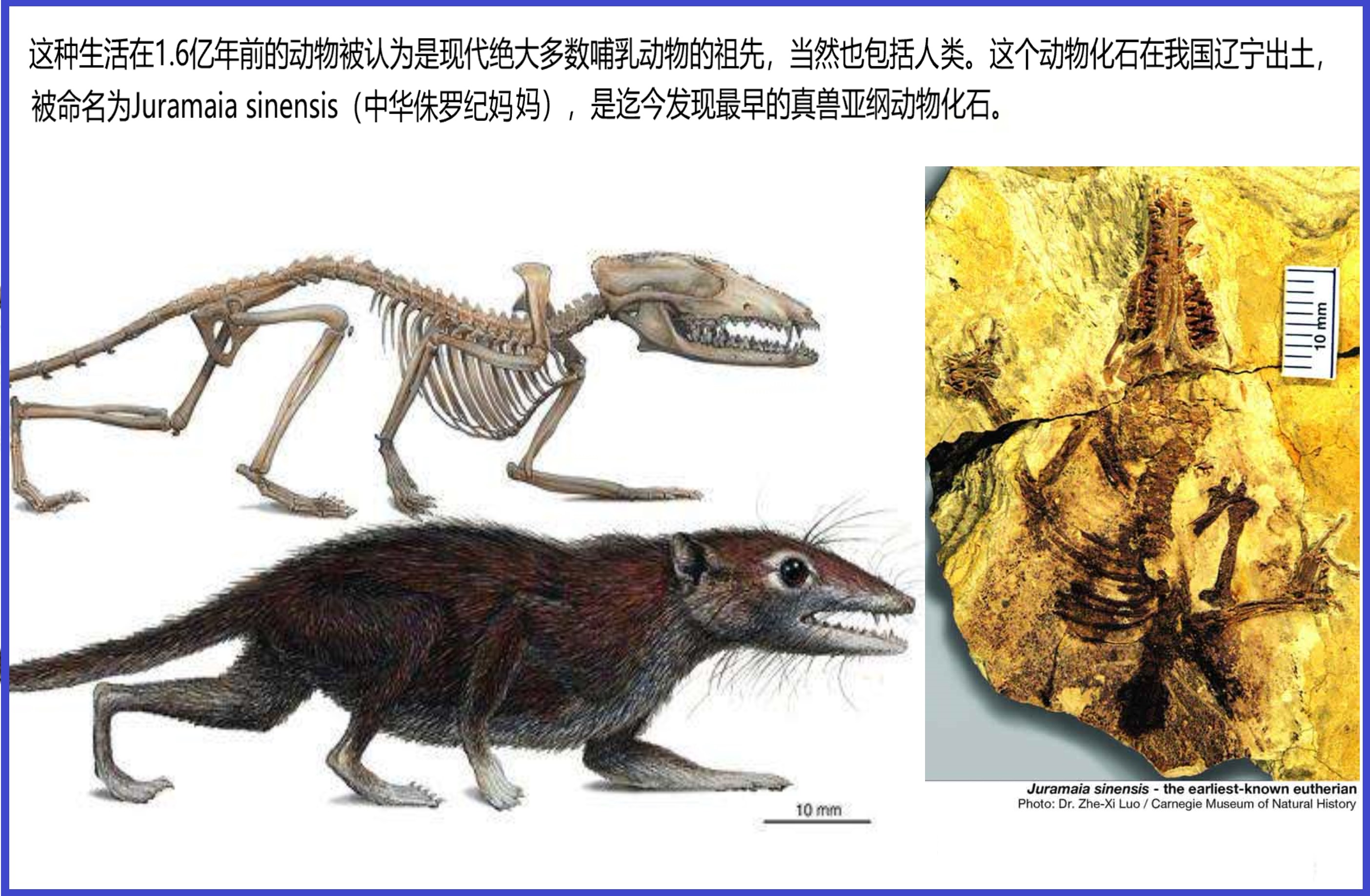 古代有许多发达事物，真的无法解释，预示史前文明存在吗？