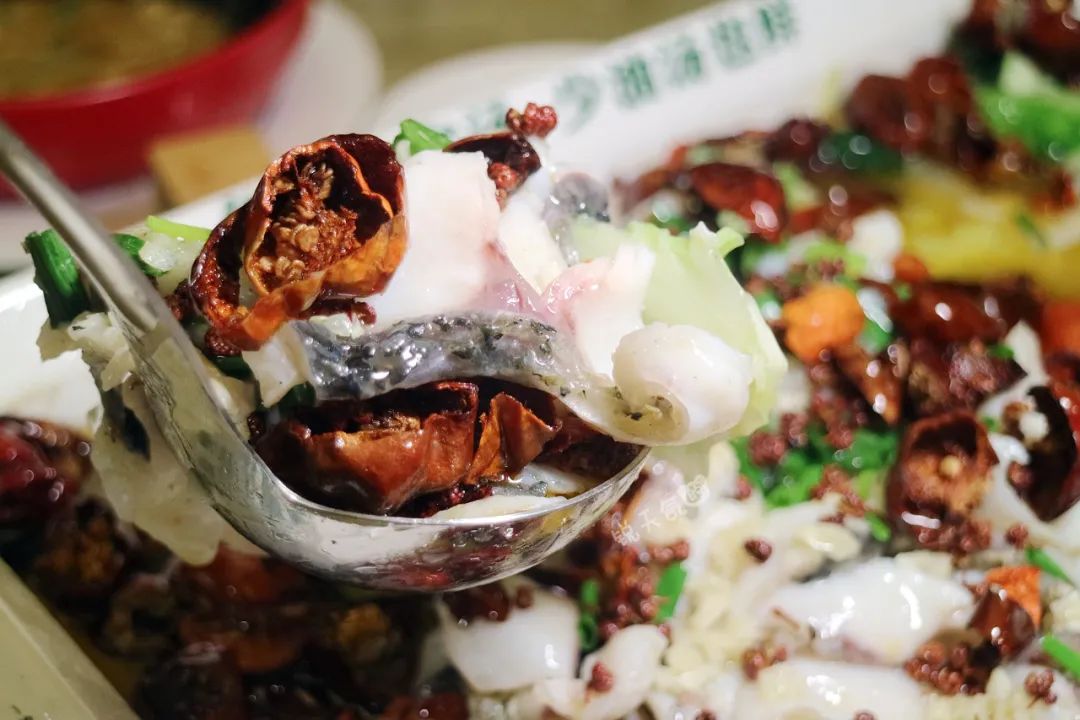 厦门25年水煮鱼老店，因为真的好吃，27家门店从岛外开到岛内