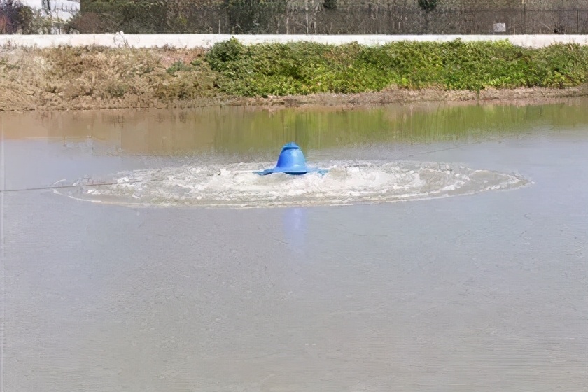 科學(xué)增氧與開機增氧（十八）原則，溶氧足水質(zhì)就好魚兒更好