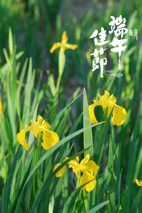 端午的习俗与万般思绪-第26张图片-非凡网
