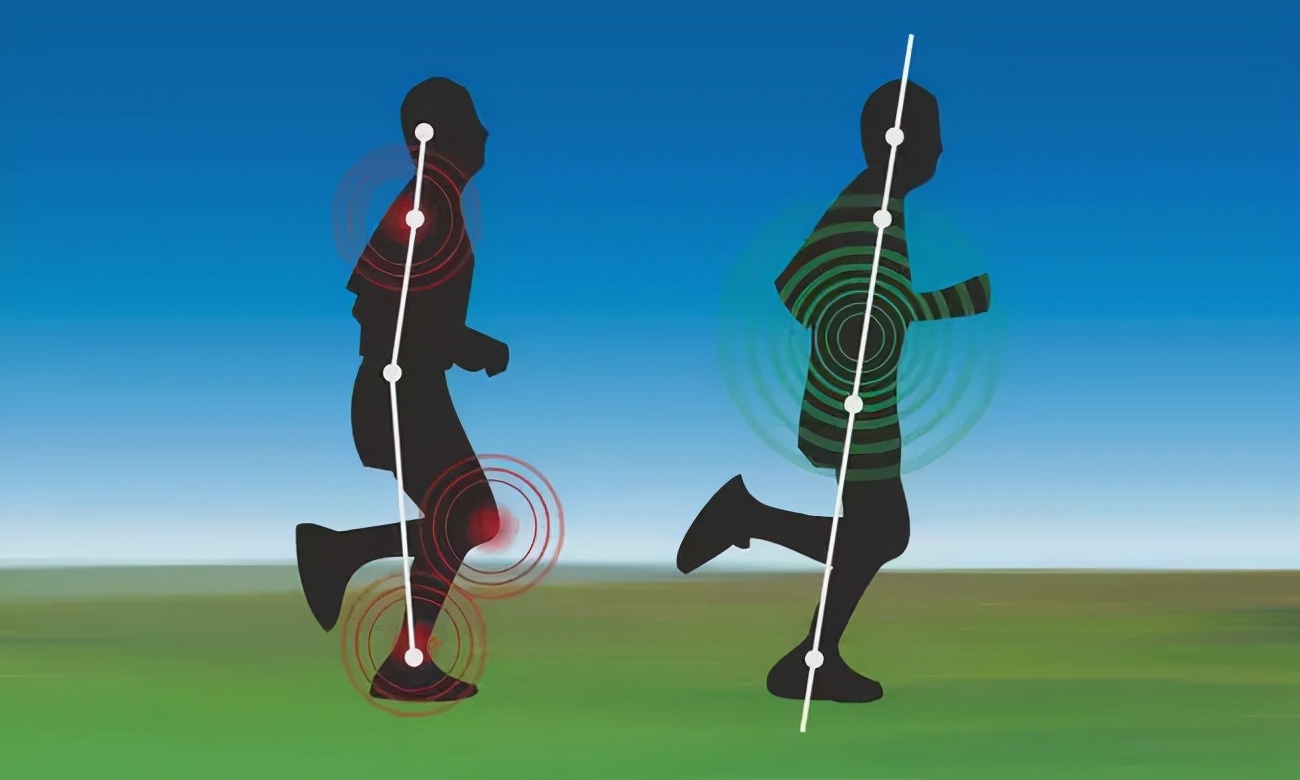 全红婵是“人形挂件”吧，她的“衣架们”腰还好吗？