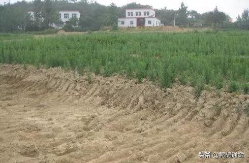 立即执行：土地将不再与户口挂钩，这三种情况