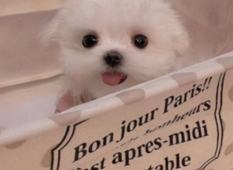 超有趣的文案 好笑好玩的说说