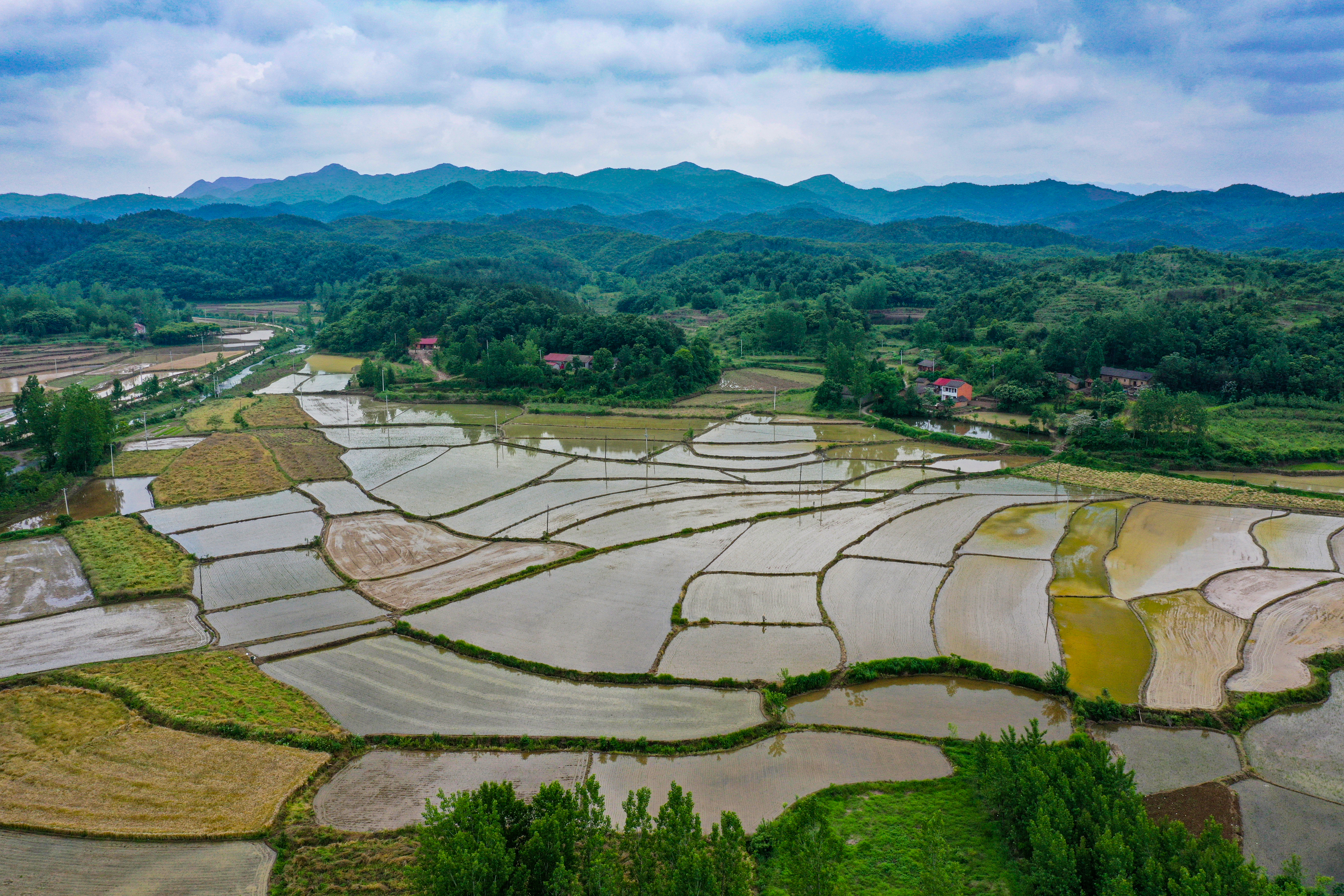随南梯田美如画